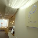 땅콩 애견유치원 이미지