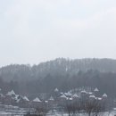숲의요정펜션
