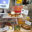 거북이 | 제주조천카페| 집나간거북이 솔직후기