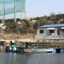 용주골낚시터 이미지