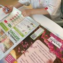 위클리 | 6세 아이가 먼저 펼쳐본 영어신문, 영자신문 퍼스트위클리 후기