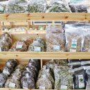 (주)웰빙전통음식사업단 이미지