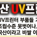디엔피플 이미지