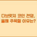 디브리지 이미지