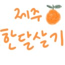 해넘이달렌탈하우스