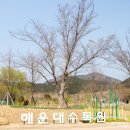 죽성여인숙 이미지