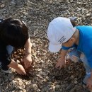 운정건강공원 이미지