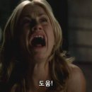 펠릭스짐 이미지