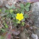 여문구 | 아미회 오대산 등산 10월14일