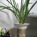 명륜동-7 이미지