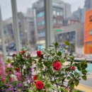 화퀼트겔러리 이미지