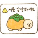 아이비라인 이미지