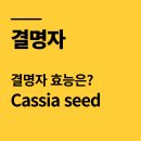 이완기농장 | 결명자 효능 6가지와 부작용, 눈 건강, 혈압, 변비 개선 진짜 먹는 법 총정리