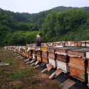 송월농장 이미지