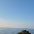 잇츠힐 | 2025년 8월 4대 제주여행 둘째날(큰엉해안경승지,제주에코랜드테마파크,밀림원 잇츠힐펜션,해녀의집)