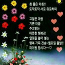 또바기님 이미지