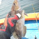 블루마린 이미지