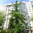 장미아파트 이미지