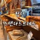 첨단 스탠다드브레드 내돈내산 방문후기