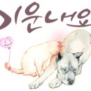 옹기종기 이미지