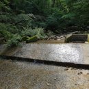 감나무골천 이미지