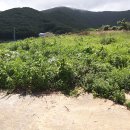 남도공인중개사사무소 이미지