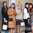 화려한외출 이미지