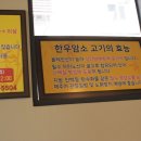 천우한우암소 이미지