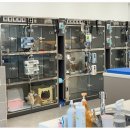 대구착한동물병원 이미지