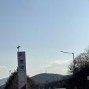 함양(통영) | <반려견과 함께 하는 여행> 함양 휴게소(통영방향)에서 먹은 소세지 먹은 후기