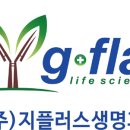 지플러스
