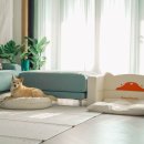 퍼니존(Funny Zone) 이미지