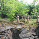 김영갑갤러리 (두모악) 이미지