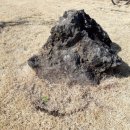 철없는펜션 이미지