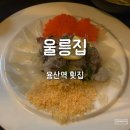 울릉횟집 | 용산역 횟집 추천 🦑 웨이팅 맛집 울릉집 포뜬 산오징어 후기