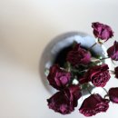 경숙농장 이미지