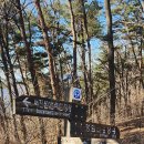 선석산 등산로 Daum카페