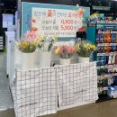 소초농협 하나로마트 | 명절 선물세트ㅣ2월 내돈내산 당진 축산 농협 하나로마트 수청점 솔직 후기