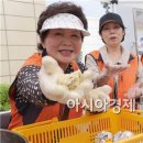 광산-송정-광산-33 이미지