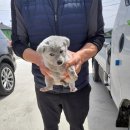 구계리경로당 이미지