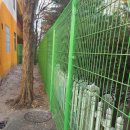 버드내초교 이미지