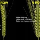 바이블 짐 이미지