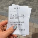 용인 자작나무숲 수국축제 실시간 후기 개화현황 주차 애견 동반 팁