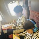 원랜드패션몰(2133) | [나고야] 아이와도시여행 - 입국, 나고야공항에서 레고랜드가는법, 나고야공항, Flight of dreams