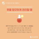 크린보이 이미지