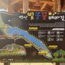 병산빛물꿈테마길 이미지