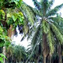 정의농장 이미지