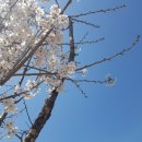 망월천_호수공원4 이미지