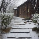 2026.02.24. 병오년 첫눈 이미지