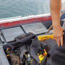 동해-단속-41 이미지